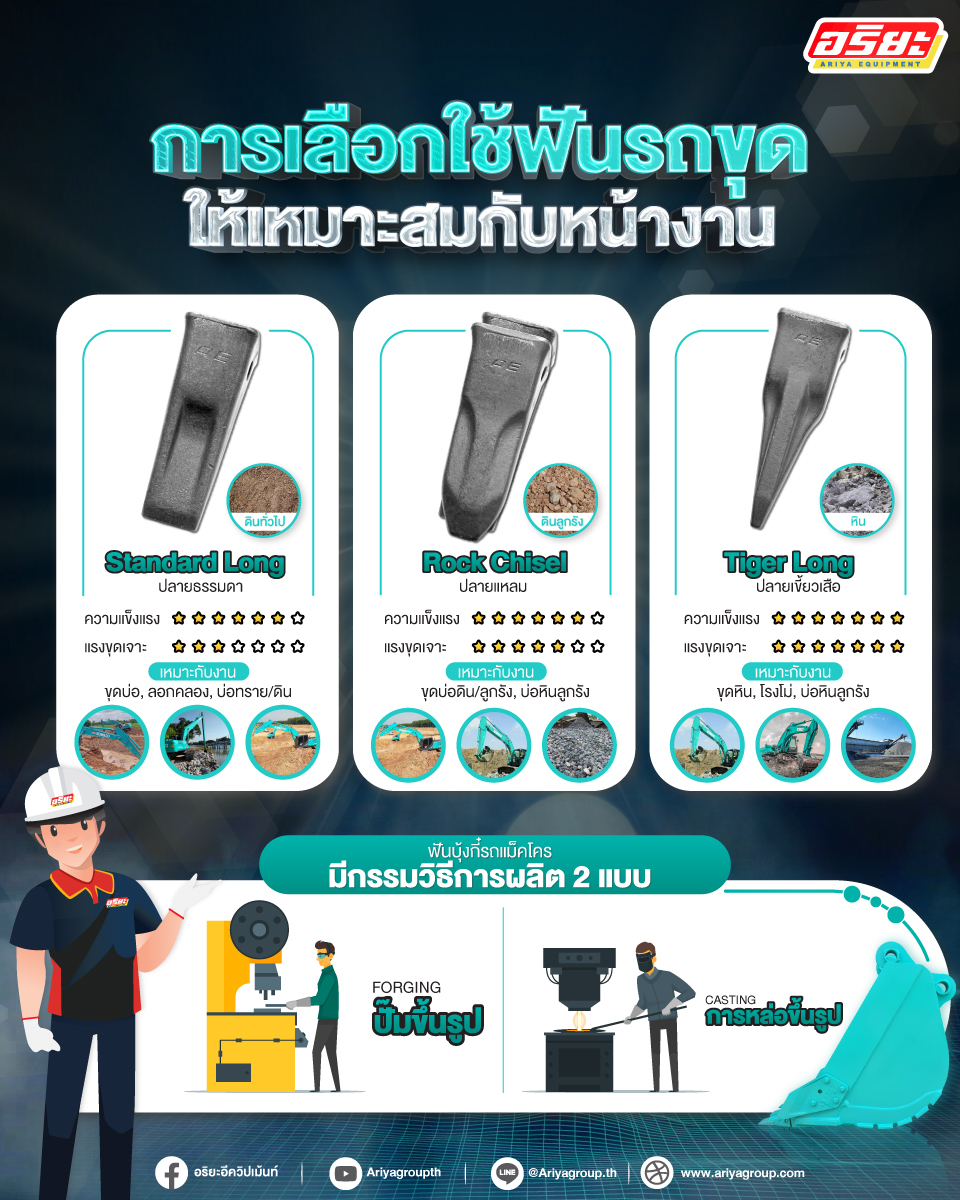 04. Info ฟันบุ้งกี้ website 17 11 2023